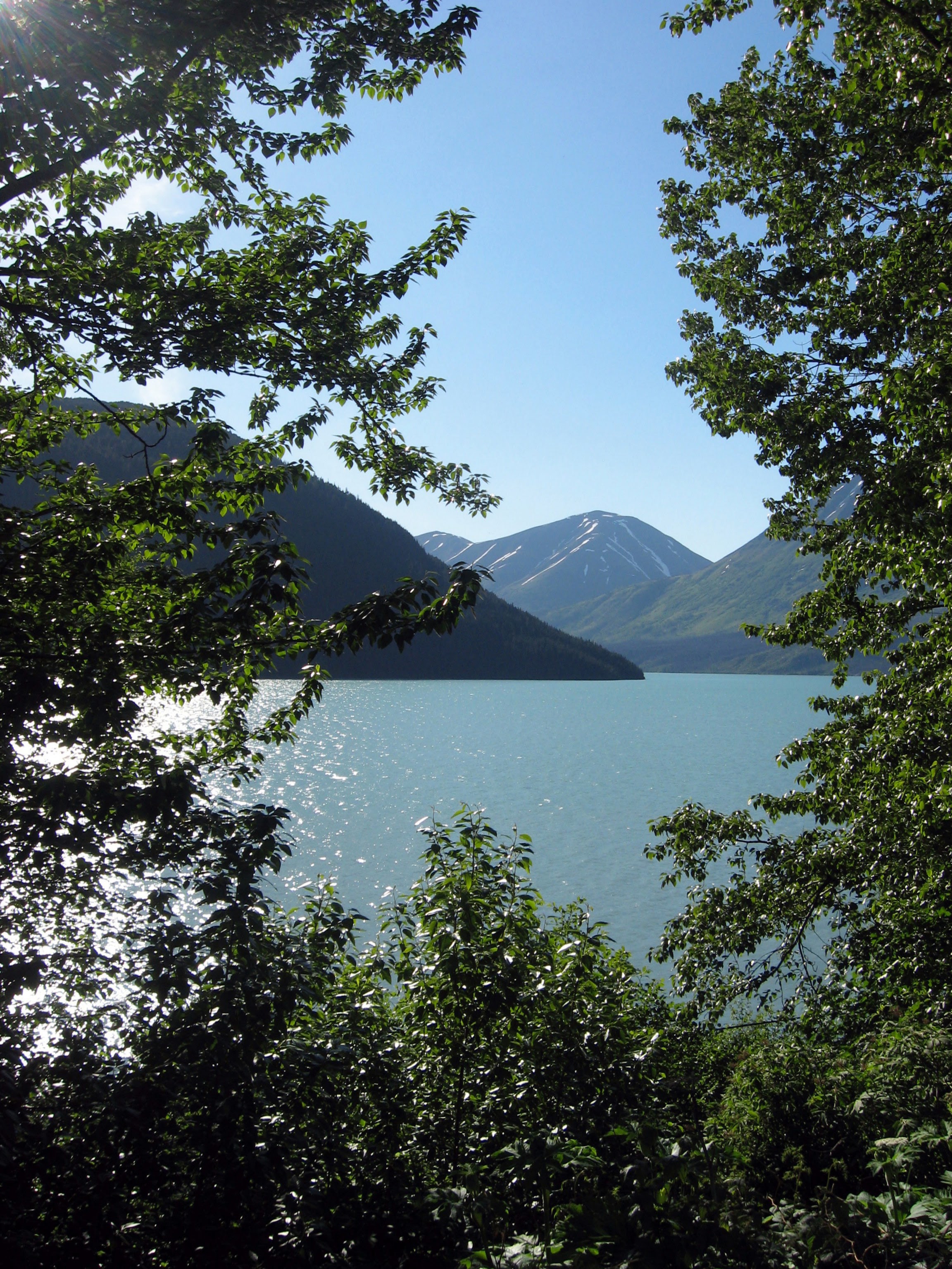 The foreground is tree branches with bright green leaves. Behind them is Kenai lake which is a tropical blue color. There are several mountains in the distance. On the left is a mountain that is covered with trees and it goes down to meet the lack about two thirds of the way to the right. On the left, behind it, isanother similar mountain but this one is taller and has some snow on it. Behind that is another, larger mountain with several snow trails. The sky is pale blue and cloudless. The lake water is brighter than the sky.